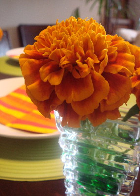 c0093339_1146085.jpg