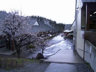 f0065341_055210.jpg