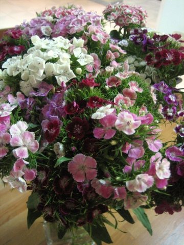 e0018143_323051.jpg
