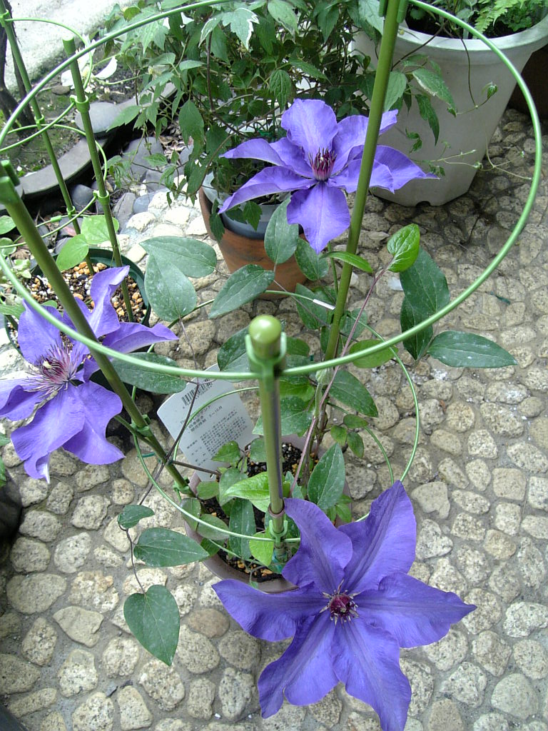 d0022845_12571569.jpg
