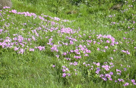 a0001354_19283967.jpg