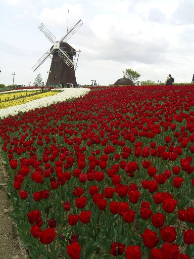 d0046157_12114921.jpg