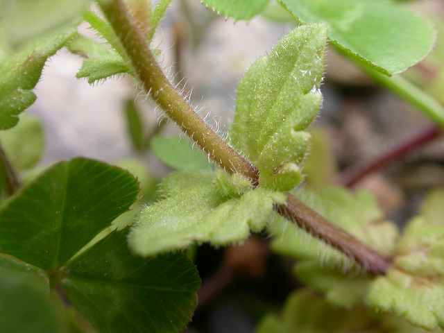 b0104861_21291248.jpg