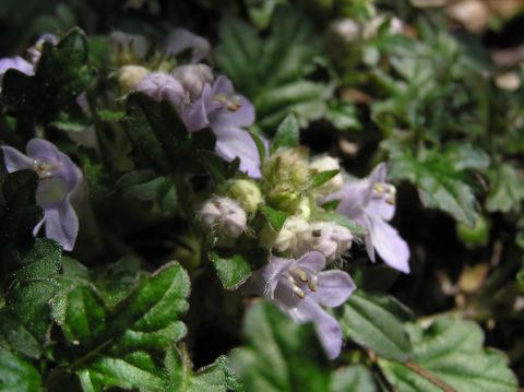c0042869_22253888.jpg