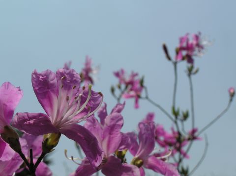 c0042869_22255623.jpg