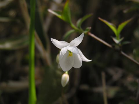 c0042869_22262084.jpg