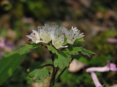 c0042869_22264662.jpg