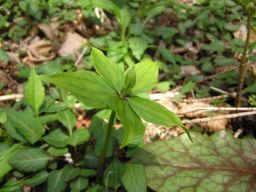 c0042869_22272349.jpg