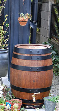 c0052470_849235.jpg