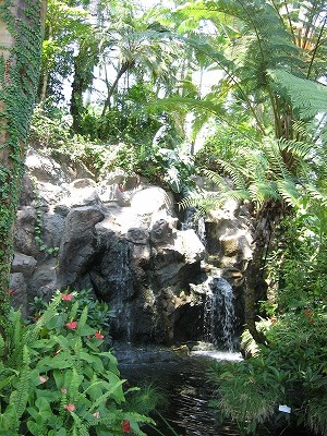 a0038882_16215914.jpg