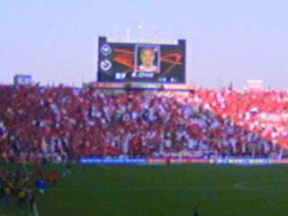 e0116485_245926.jpg