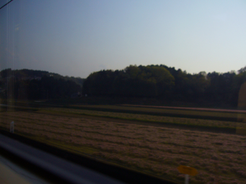 b0080789_22224216.jpg