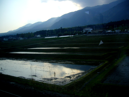 b0080789_2275546.jpg