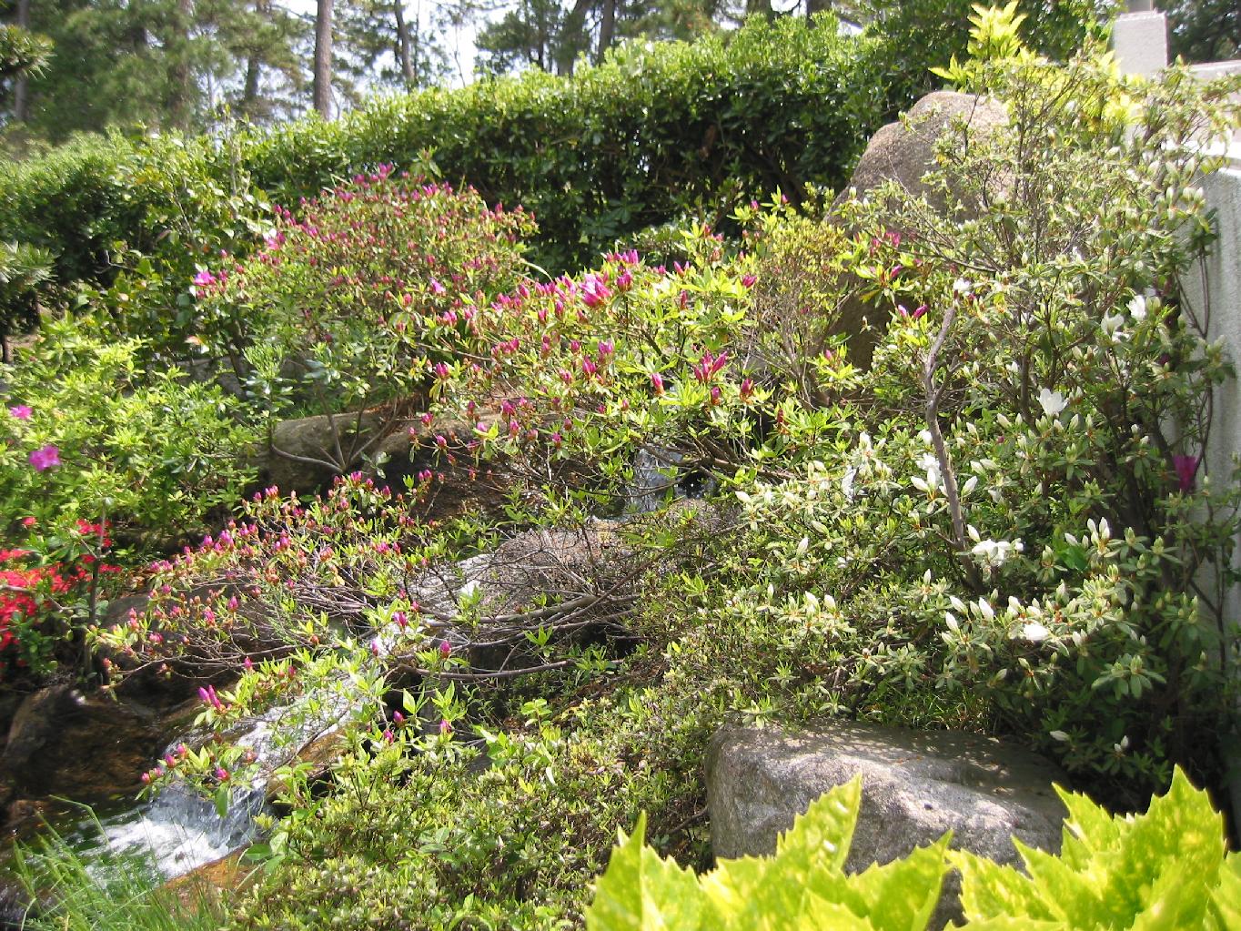 f0131491_13161486.jpg