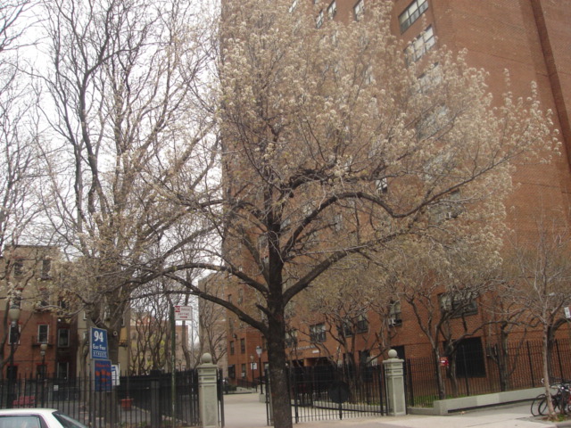 f0002295_12372662.jpg
