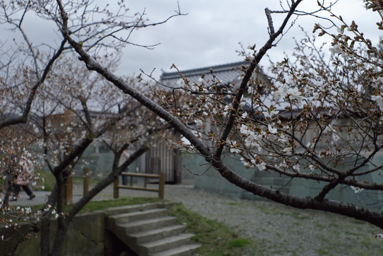 f0002701_765429.jpg