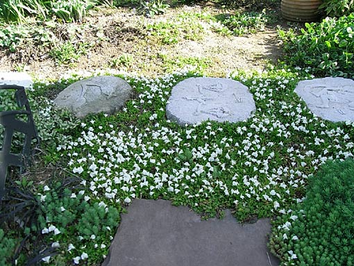 c0105306_20534476.jpg