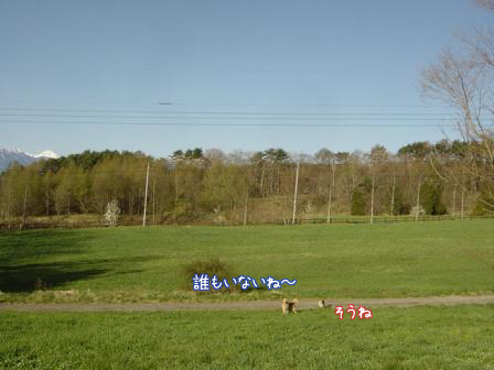 f0064906_18303885.jpg