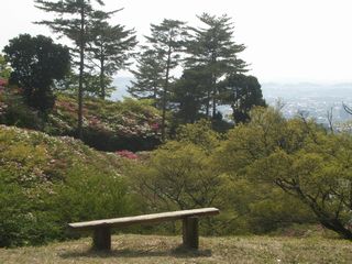 b0061107_23104510.jpg