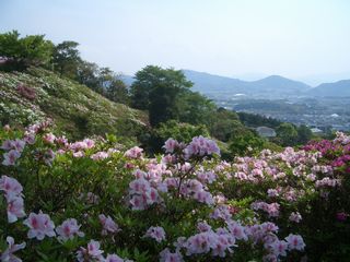 b0061107_2324445.jpg