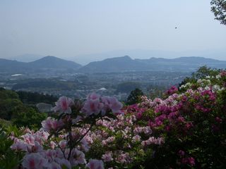 b0061107_234564.jpg