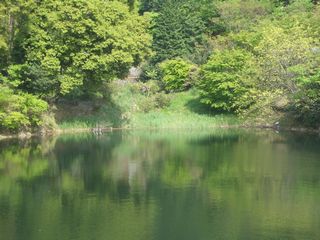 b0061107_2382498.jpg