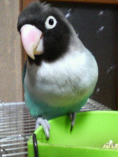 f0126418_168851.jpg