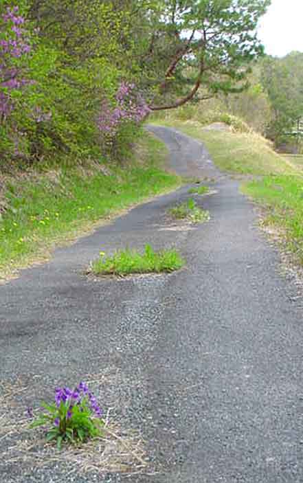 e0083820_20392253.jpg
