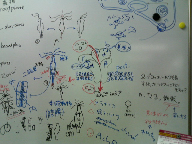 d0028322_23422645.jpg