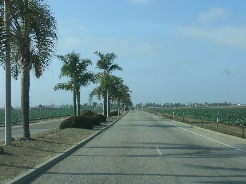 e0110625_1523228.jpg