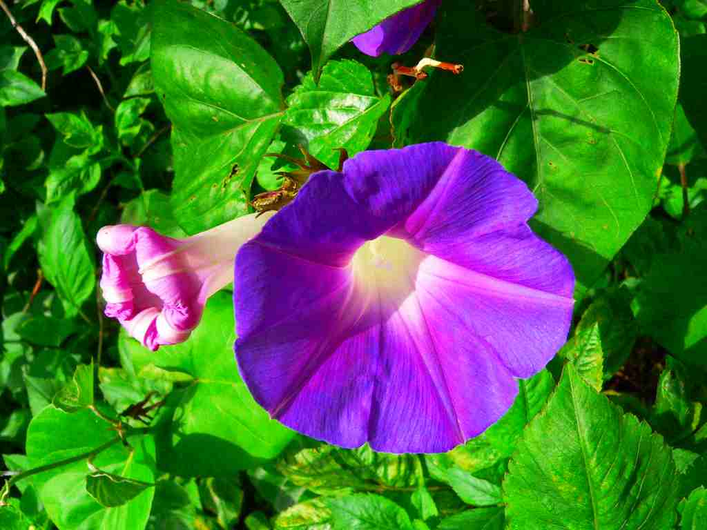 d0053930_6514381.jpg