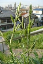 f0088231_16315199.jpg