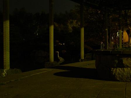 f0088731_23534014.jpg