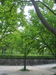 b0057839_2150382.jpg