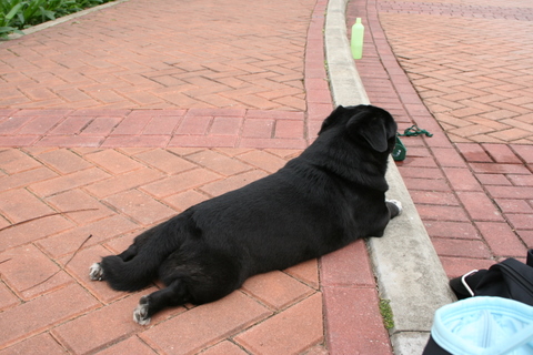e0018143_383672.jpg