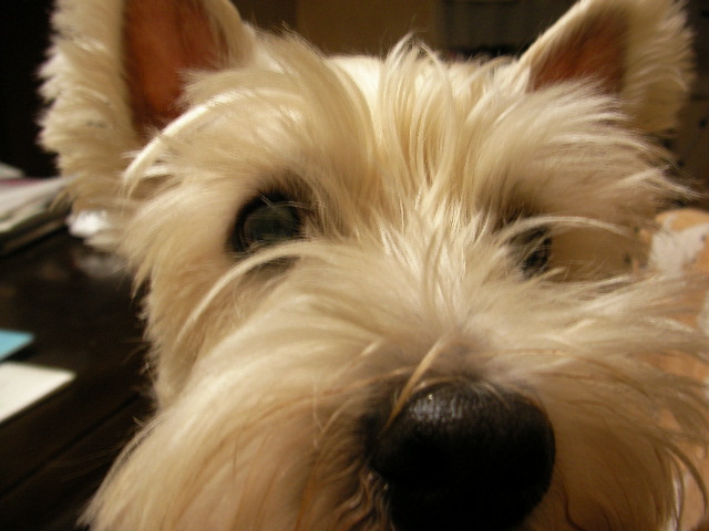 f0034444_013365.jpg
