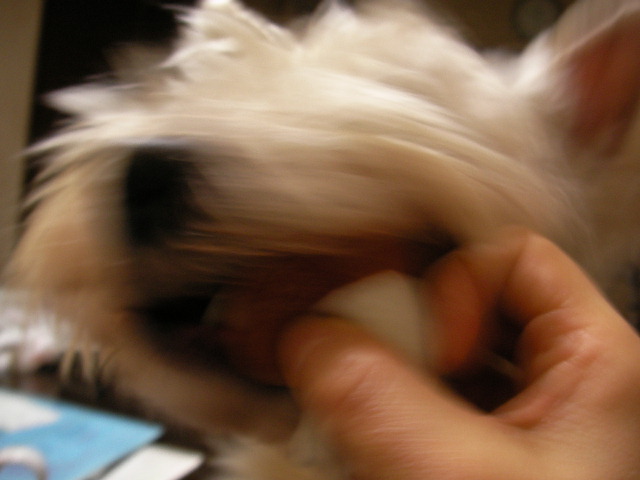 f0034444_0142718.jpg