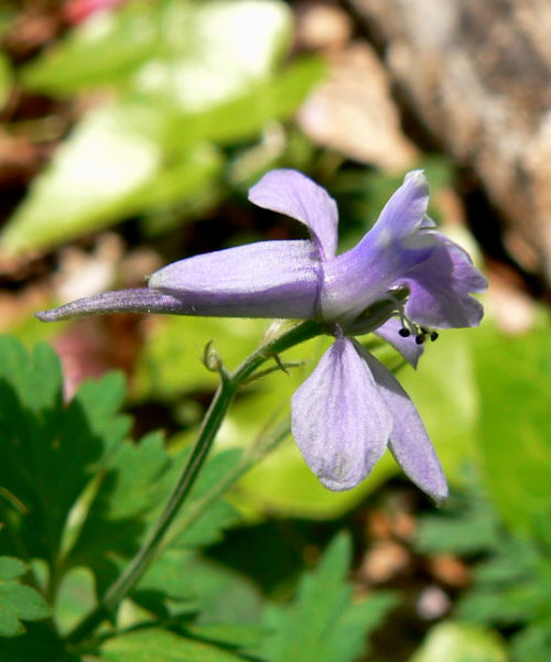 d0091754_441379.jpg