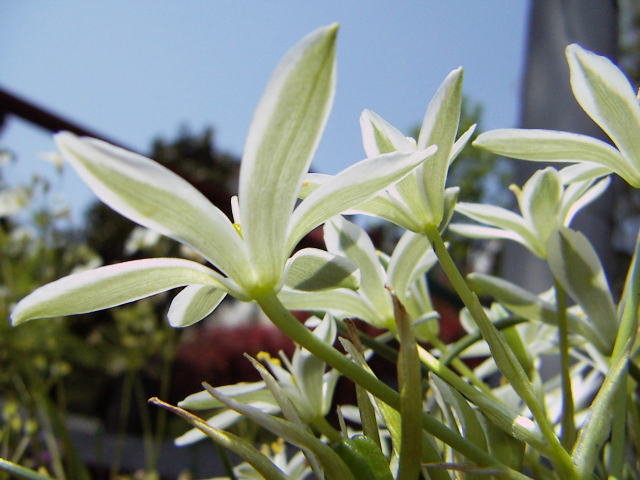 c0031856_0151390.jpg