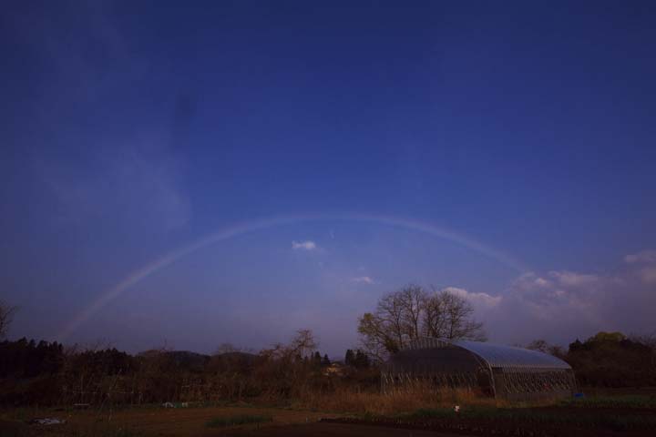 e0067463_4214769.jpg