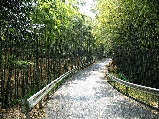 e0041168_108280.jpg