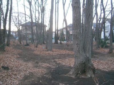 c0112172_1153855.jpg