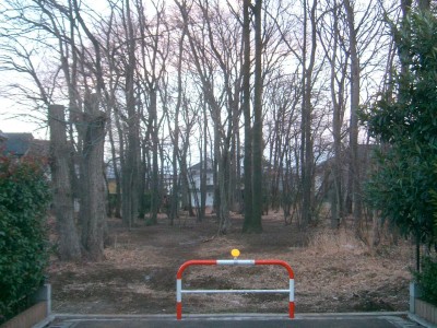 c0112172_1155786.jpg
