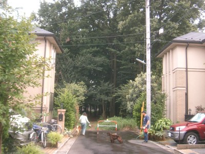c0112172_1162828.jpg
