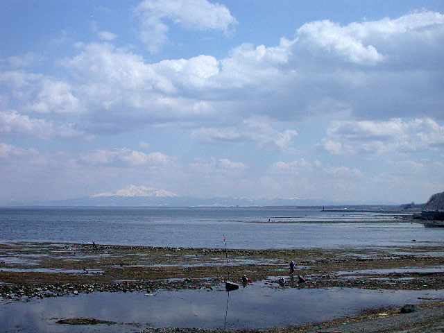 e0100772_23485945.jpg