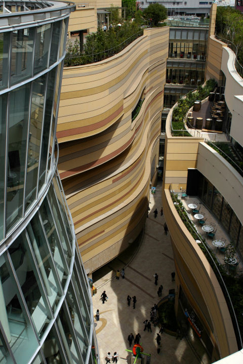 d0079373_534182.jpg