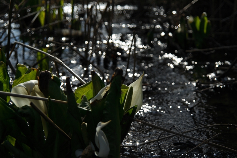 a0016775_221048.jpg