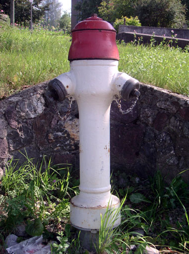 b0038588_2083440.jpg