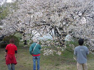 a0098690_19423286.jpg