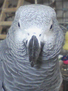 c0076490_20271893.jpg